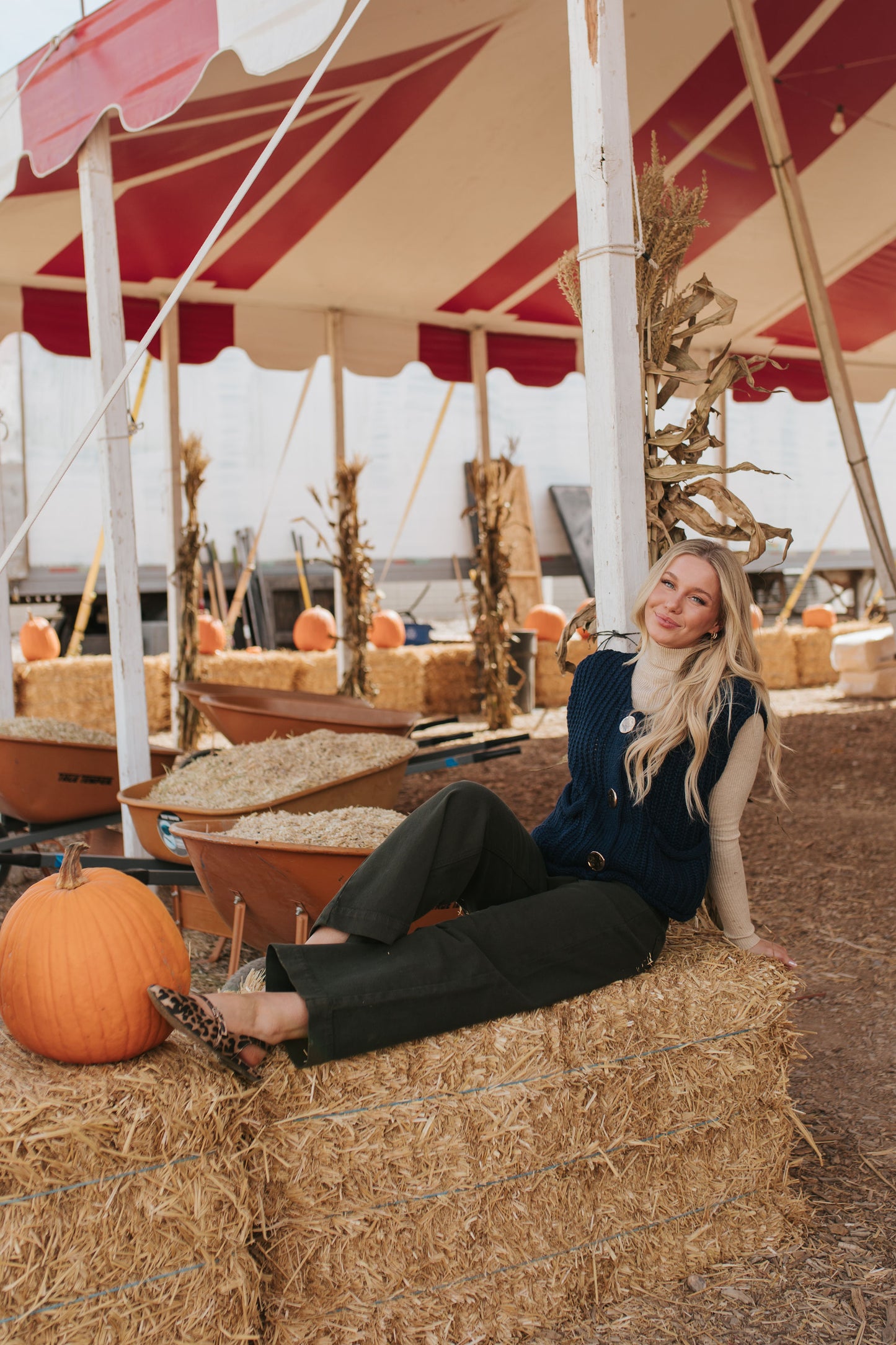 THE SHAE KNIT SWEATER VEST IN NAVY