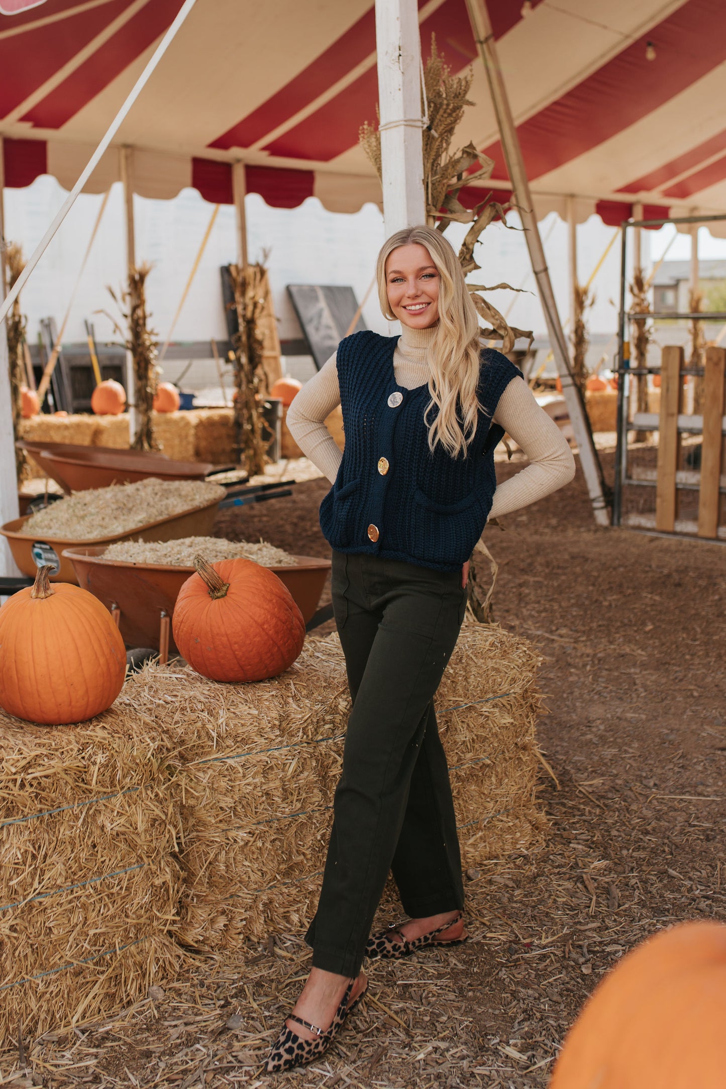 THE SHAE KNIT SWEATER VEST IN NAVY