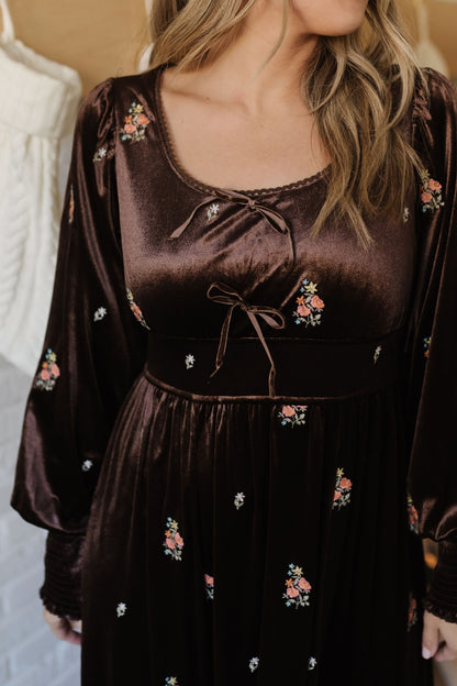 THE ETTA EMBROIDERED VELVET DRESS IN CHESTNUT