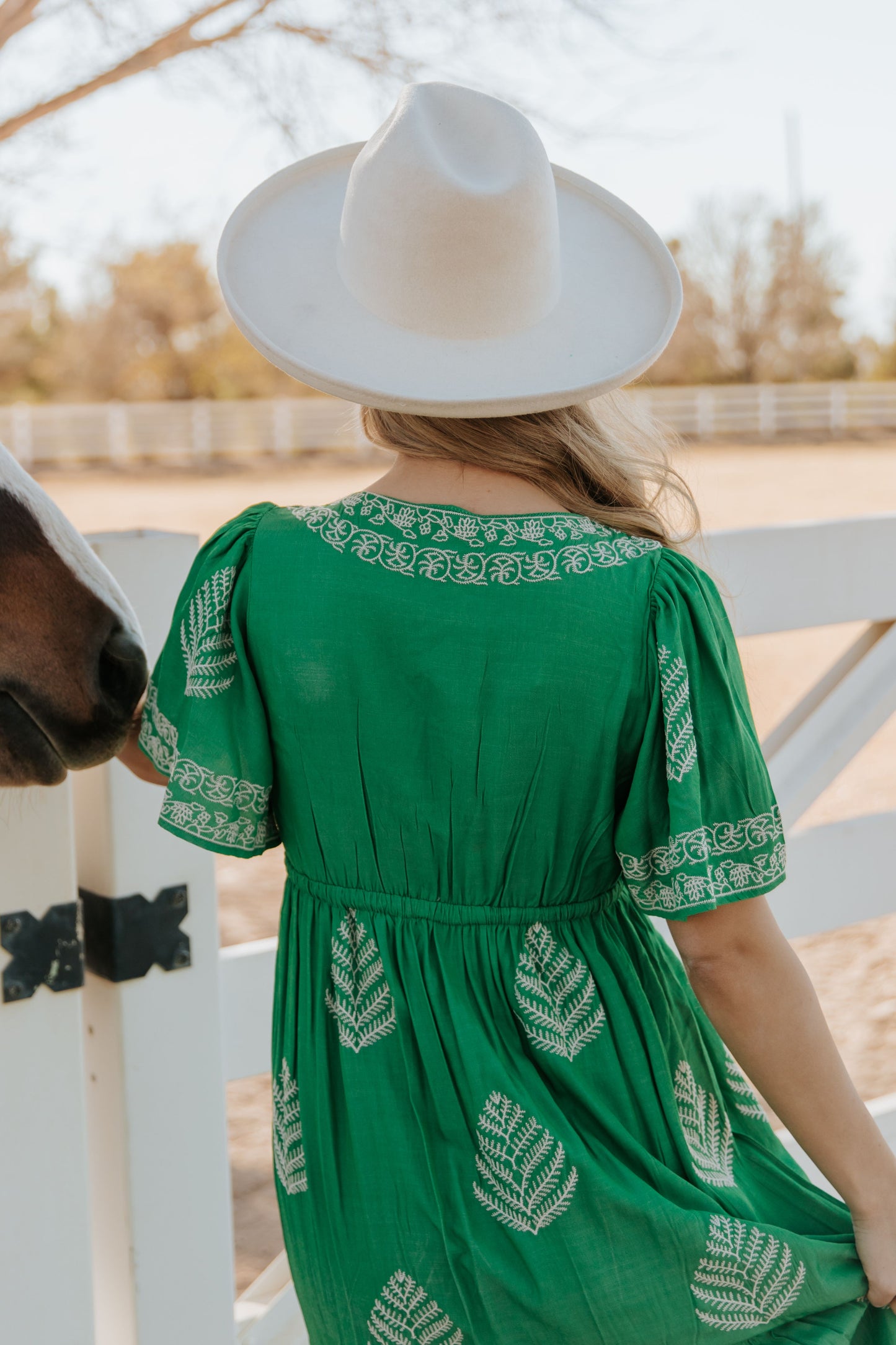 THE RAYLEIGH EMBROIDERED MAXI DRESS IN SPRING GREEN