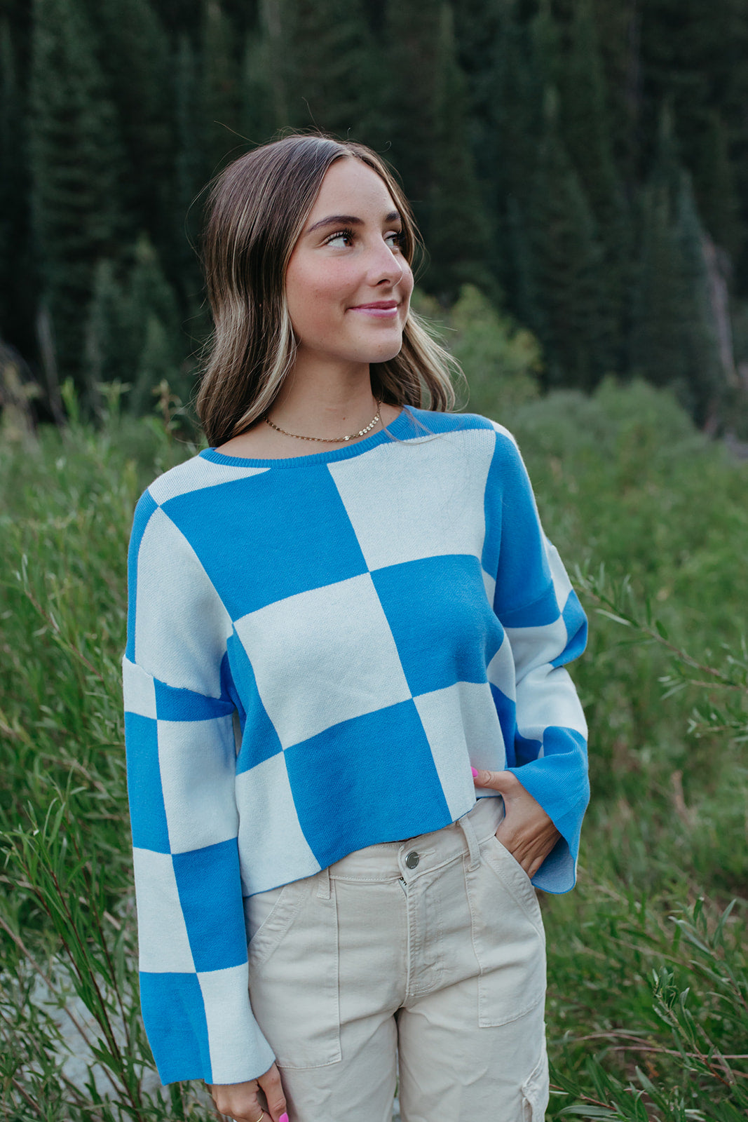 THE KYAH LONG SLEEVE CHECKERED TOP IN BLUE