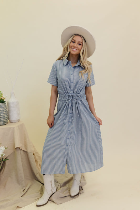 THE BIRDIE BUTTON DOWN SHIRT DRESS IN BLUE