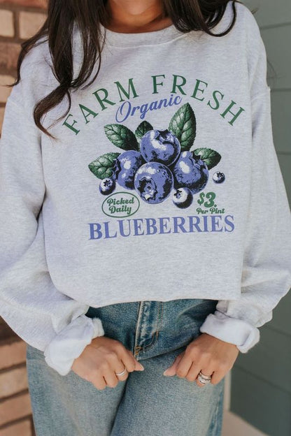 THE BERRY BLUEBERRY FARM PULLOVER IN GREY