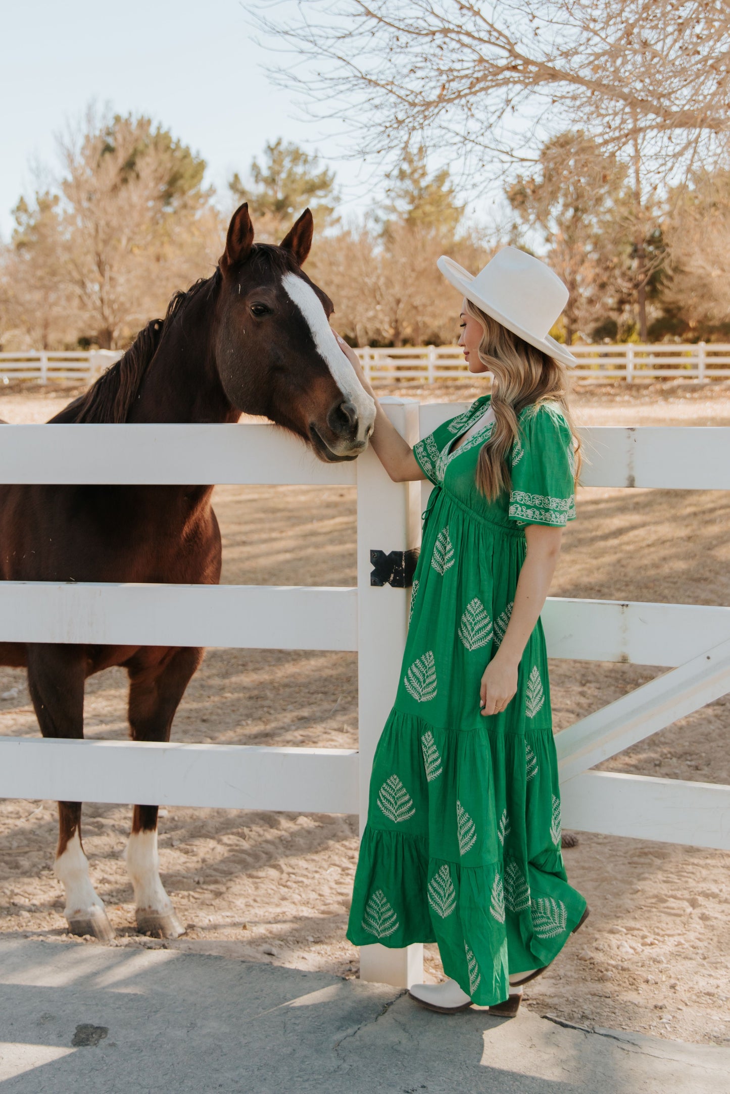 THE RAYLEIGH EMBROIDERED MAXI DRESS IN SPRING GREEN